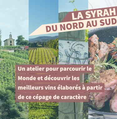 cours oenologie syrah rhone