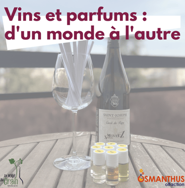 cours oenologie vins parfums