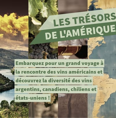 vins américains cours oenologie lyon on veille au grain
