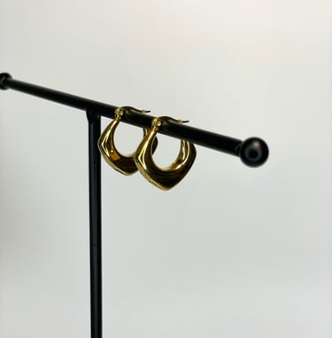 a pair of earrings with a gold hoop earrings