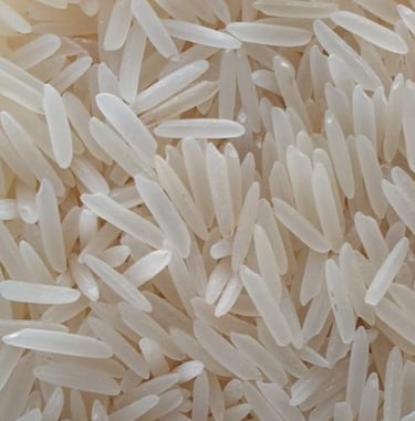 Rice Exporters Of Pakistan