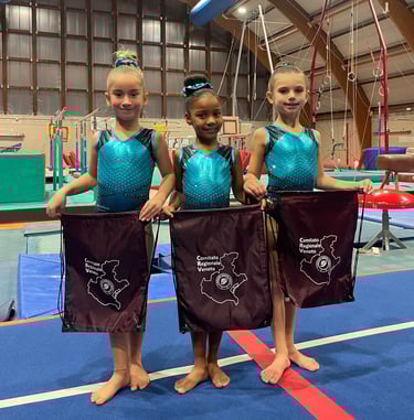 Artistica Jesolo Young 2