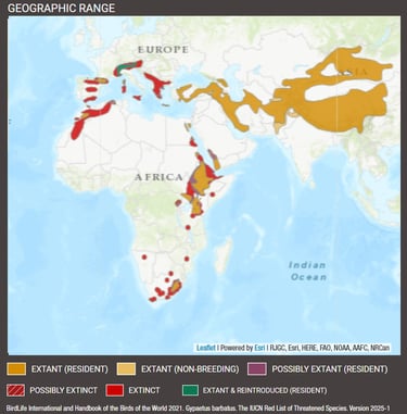 bearded vulture distribution Map-IUCN