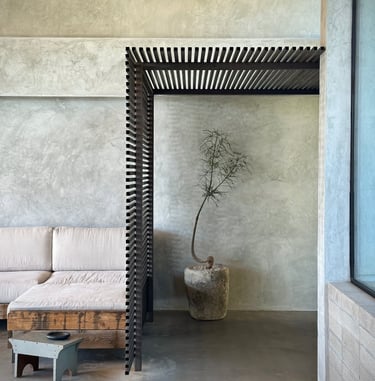 Sculptural brachychiton rupestris in vintage limestone within a Tucson interior by Botanic Bliss Co.