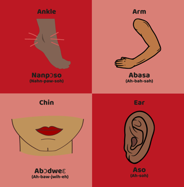 Akan Twi Ankle, Arm, Chin,, Ear