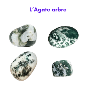 Les pierres naturelles Agate arbre Les Couleurs de Lo