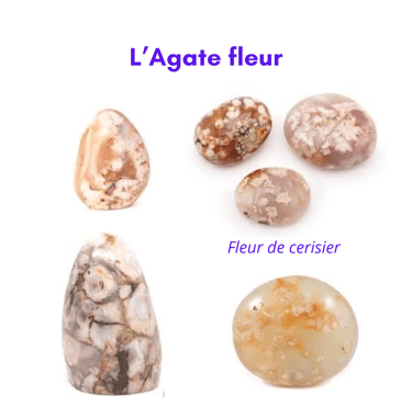 Les pierres naturelles Agate fleur Les Couleurs de Lo