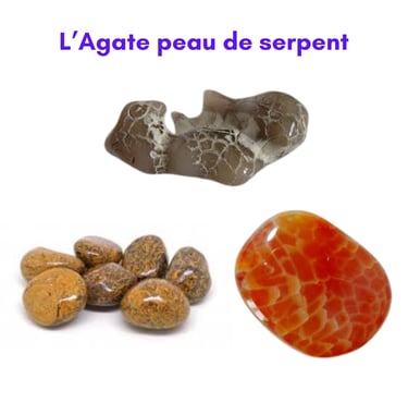 Les pierres naturelles Agate peau de serpent Les Couleurs de Lo