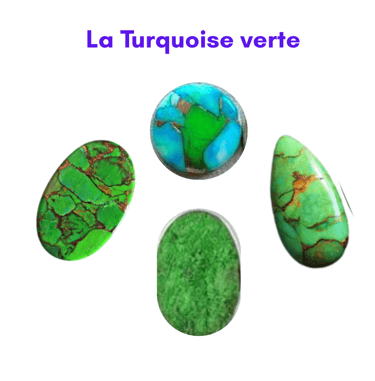La Turquoise verte Les Couleurs de Lo