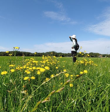 Photo of Alicia Warne in a sunhat and carrying a rucksack while standing in a meadow with yellow flowers on a sunny day