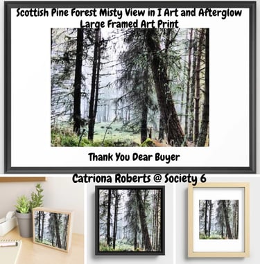 Wall Art featuring the design Scottish Pine Forest Misty View in Intelligent Art and Afterglow.