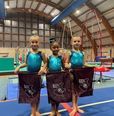 Artistica Jesolo Young 2