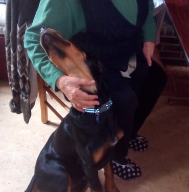 Une femme âgée fait un câlin réconfortant à Rantanplan notre beauceron