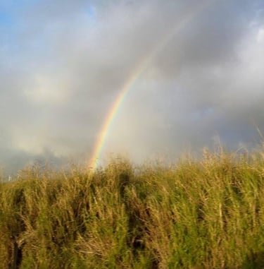 Rainbow of Hope