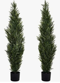 three tall trees in a row on a white background