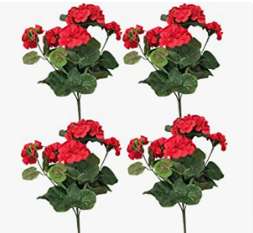 a set of four red gerania flowers
