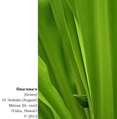 Ōmaʻomaʻo [Green] - 10 ʻAukake [August] Mānoa [lit. vast], Oʻahu, Hawaiʻi © 2013