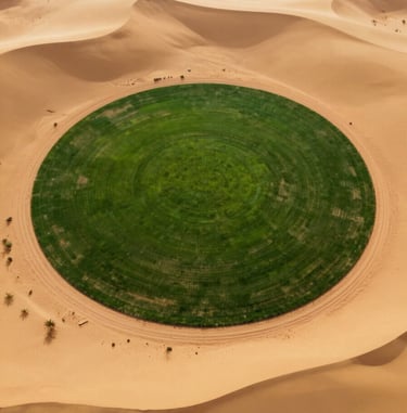 Aerial view of a circular desert greening project, a lush green circle in the middle of a golden desert, professional and inspiring.