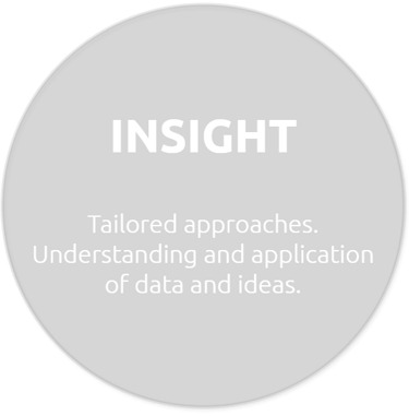 Insights, tailored approaches. Understanding and application of data and ideas