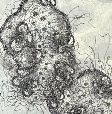 NEBULUM SEEDS II - Ink by Janet Griffen