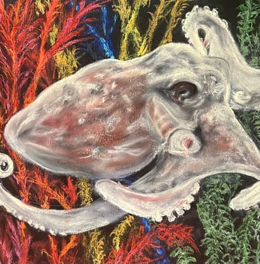 a drawing of a squid in a seaweed garden