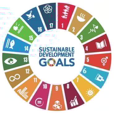 UN Sustainable Goals