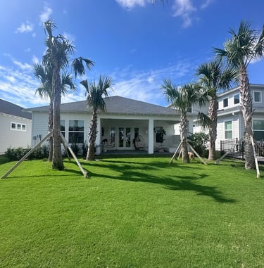 Modern coastal home with a green lawn, palm trees, and a covered back patio under a blue sky.