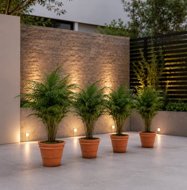 Macetas de concreto en terraza moderna