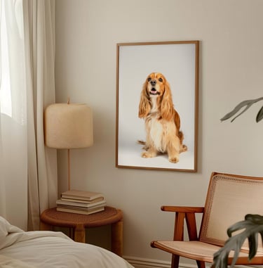 Fotografia de mascotas a domicilio en bogota pneuma petography cocker spaniel