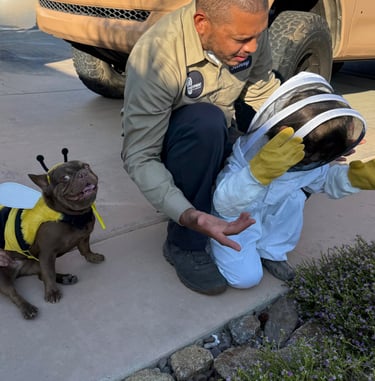 Footprint Pest Management