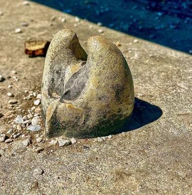 A weathered stone sculpture resembling a smooth tooth or bone sits on a concrete surface outdoors.