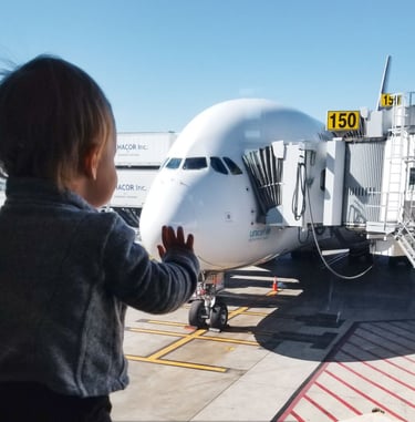 Safety of Air Travel by Unaccompanied Minors  (Children Traveling Alone by Air)