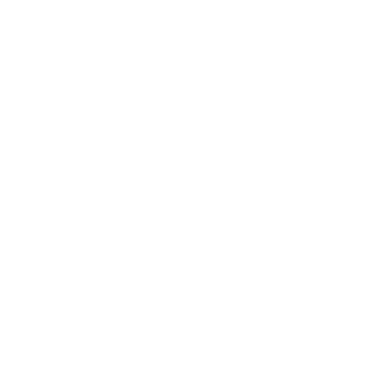 Icona Lente Ingrandimento Target