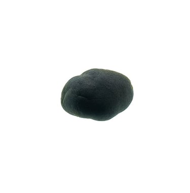 Codium pomoides