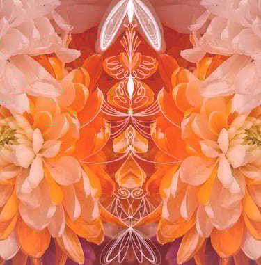 ilustración digital sobre fotografia floral