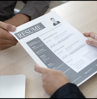 Professional Resume