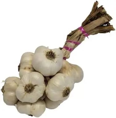 Ail pour le jardin