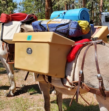 a horse drawn carriage with a horse drawn carriage