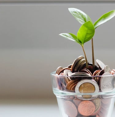 green plant in clear glass cup