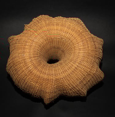 Number 18, 2011 cane, reed