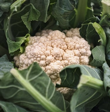 Cauliflower