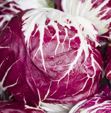 Radicchio