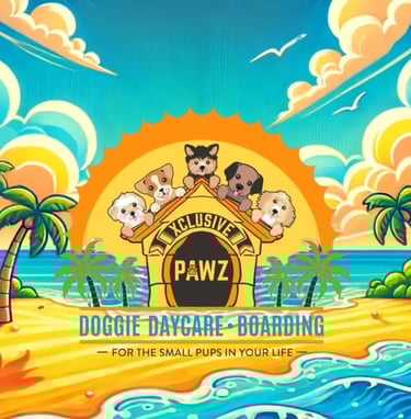a bunch of dogs at dog daycare on the beach