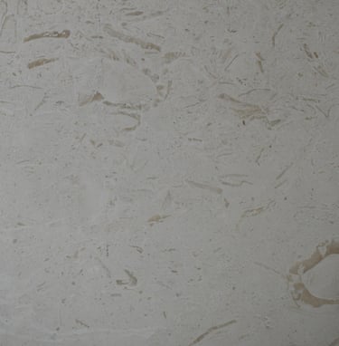 Ocean Reef White Honed Shell Stone
