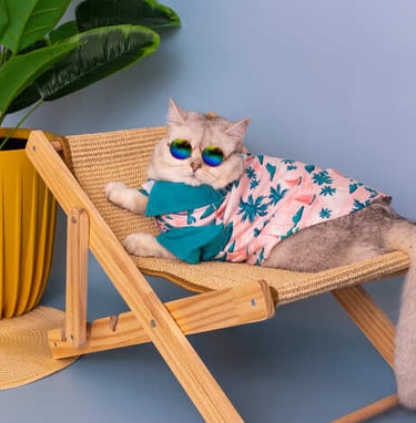 Un gato elegante con gafas de sol y camisa tropical se relaja en una tumbona de madera en la playa.