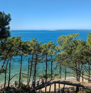 Atlantic ocean, beach, pine trees from La Corniche