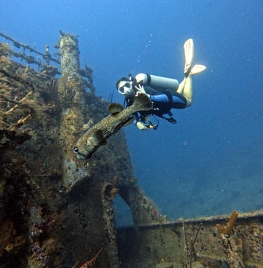 curso de buceo de naufragio