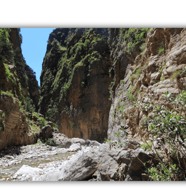 a narrow canyon with a river running through it