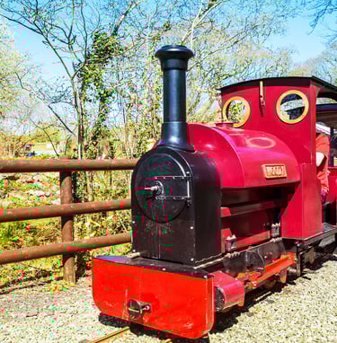 Gypsy Wood Park