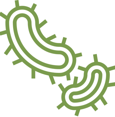 Dezechilibre ale microbiomului intestinal (disbioză)